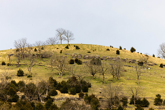 Arkansas
