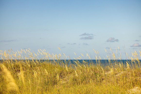 Carolinas